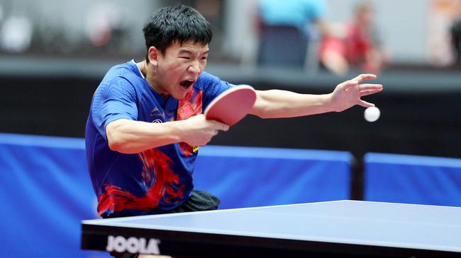 有可能导致 有可能导致