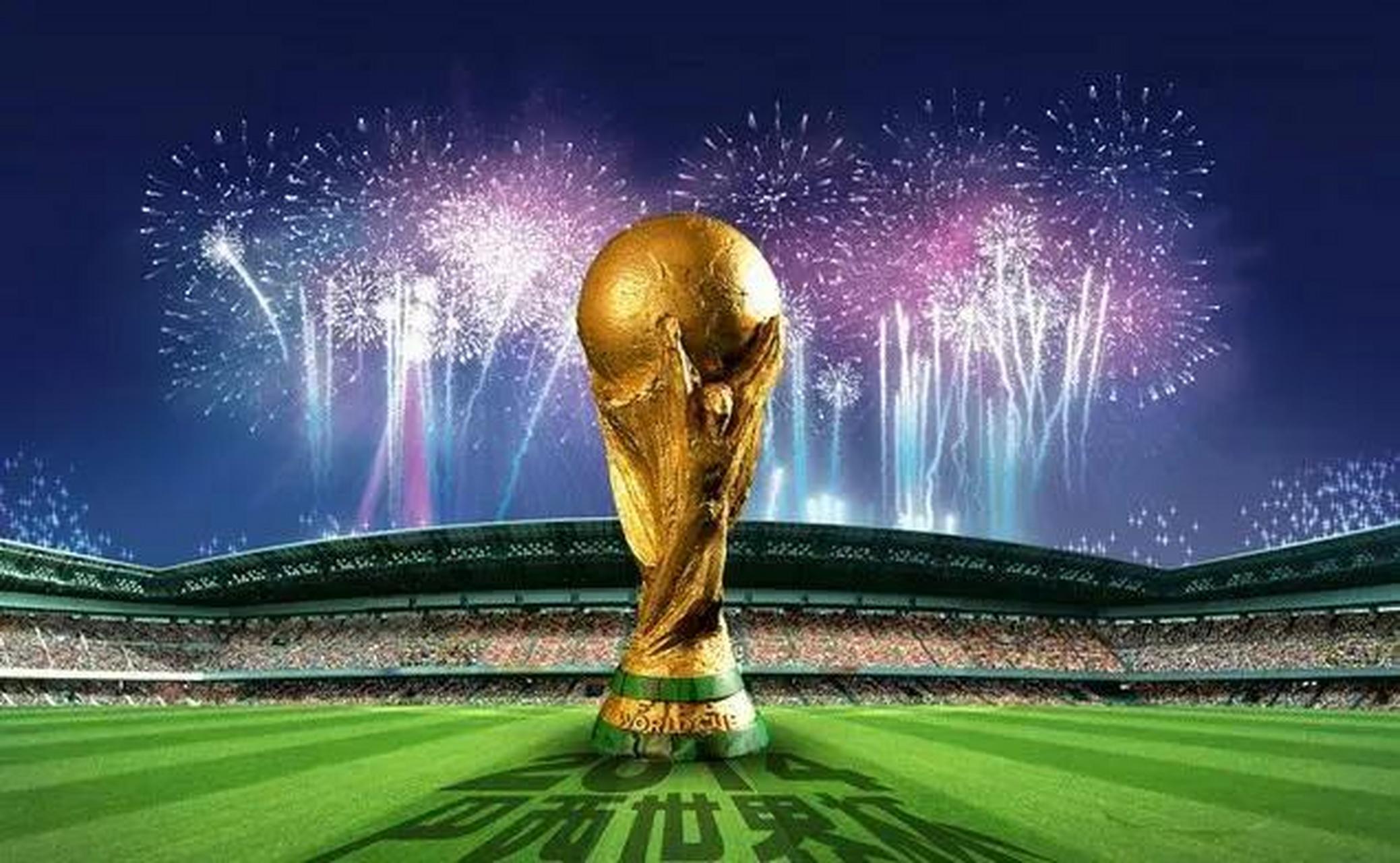 华人之光 华人之光